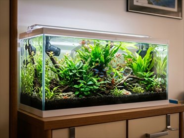 mieszkanie na sprzedaż 53m2 mieszkanie Wrocław, Osobowicka