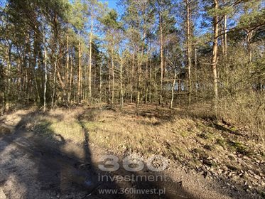 Działka leśna na sprzedaż Słonów 10 800m2 Foto 6