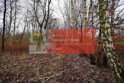 działka na sprzedaż 9530m2 działka Kazimierz Dolny