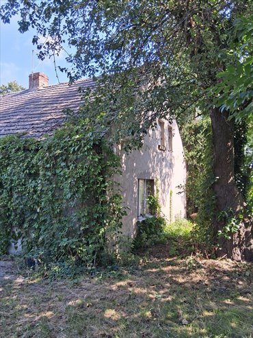 Sprzedam gospodarstwo rolne 16,7 ha z zabudowaniami w Ciecierzynie dom Ciecierzyn
