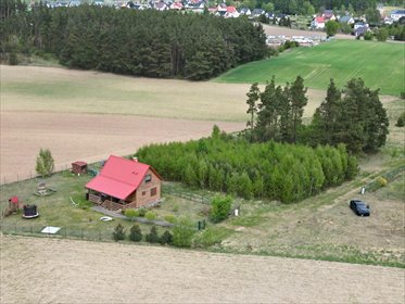 Zapraszam do zakupu działki 2 348 m² z własnym lasem w Sikorzynie działka Sikorzyno, Spokojna