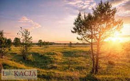 Działka inna na sprzedaż Szczytniki 2 303m2 Foto 1