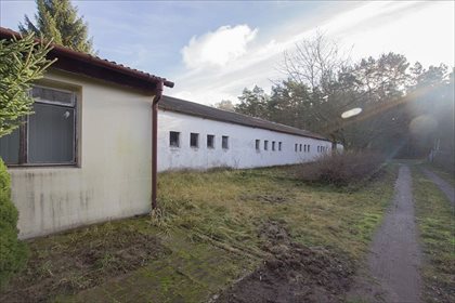 działka na sprzedaż 14785m2 działka Trzeszczyn