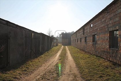 Magazyn na sprzedaż Brzozowiec 700m2 Foto 6