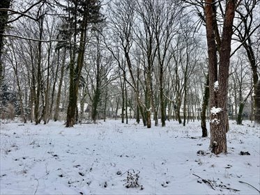 działka na sprzedaż 6470m2 działka piaseczyński