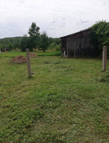 Działka budowlana na sprzedaż Ciosowa, Ciosowa 1 950m2 Foto 4