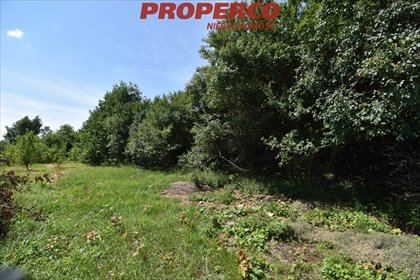 działka na sprzedaż 1230m2 działka Kielce, Piaski, Piaski nad Rzeką