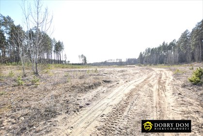 działka na sprzedaż 3200m2 działka Siemianówka