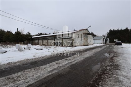 magazyn na wynajem 1054m2 magazyn Wysoka Głogowska