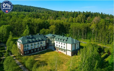 lokal użytkowy na sprzedaż 4391m2 lokal użytkowy Bielsko-Biała, Mikuszowice Śląskie