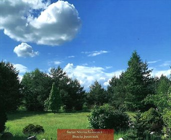 Działka budowlana 2875 m² z mediami i lasem w Sosnówce działka Sosnówka