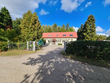 lokal użytkowy na sprzedaż 467m2 lokal użytkowy Jagatowo, Sosnowa