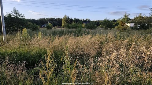 Dwie działki budowlane w Przyłękach, 1109 m² - polecam! działka Przyłęki