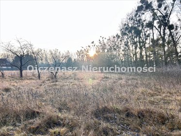 Działka 1751 m² z mediami, blisko Kanału Noteckiego działka Murowaniec
