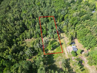 działka na sprzedaż 3000m2 działka Adamowizna