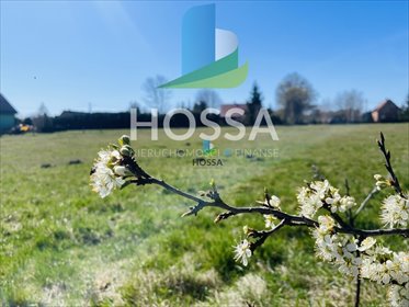 działka na sprzedaż 3600m2 działka Jagarzewo