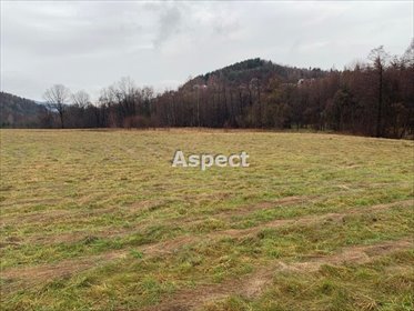 działka na sprzedaż 22592m2 działka Rzyki