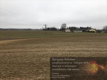 działka na sprzedaż 18400m2 działka Tomaszowice