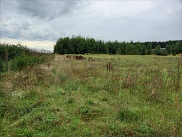 Działka rolna na sprzedaż Promna-Kolonia, Promna 11 400m2 Foto 3
