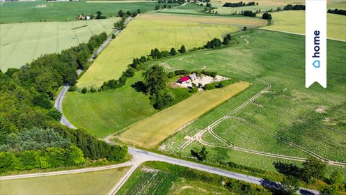 Działka 2980 m² z domkiem w Sitnie - spokój i natura działka Sitno