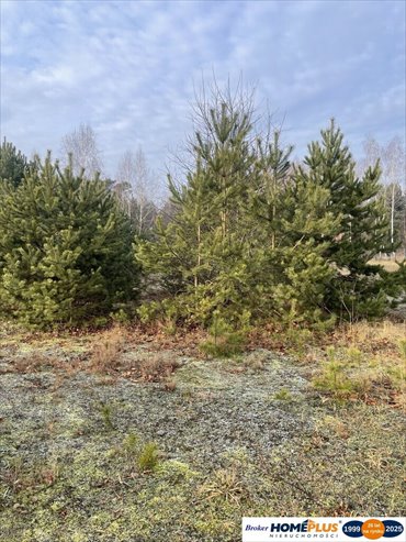 działka na sprzedaż 2050m2 działka Józefów