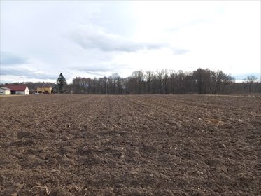 działka na sprzedaż 18600m2 działka Pawłowice, Podlesie