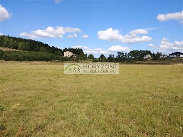 działka na sprzedaż 169085m2 działka Donimierz
