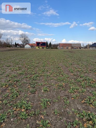 działka na sprzedaż 2600m2 działka Chocianowiec