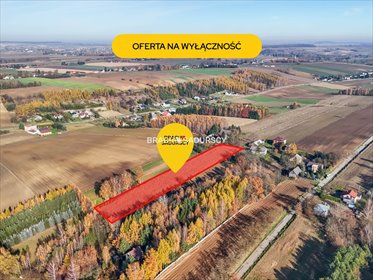 działka na sprzedaż 6000m2 działka Przesławice