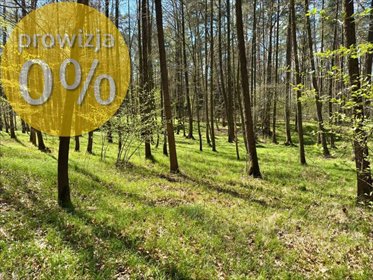 Działka leśna 3800 m² w Rybniku, polecam! działka Rybnik, Borki