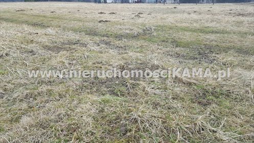 Działka inna pod dzierżawę Buczkowice 5 000m2 Foto 3