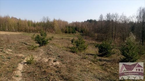 Działka rolna na sprzedaż Lubcza 5 000m2 Foto 3