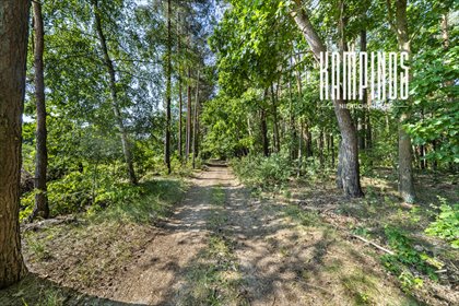 Do sprzedania działka 4000 m² w Hornówku z lasem i pełną infrastrukturą działka Hornówek, Malinowa