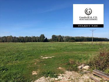 Działka przemysłowo-handlowa na sprzedaż Gdańsk, Świbno, Kempingowa 11 000m2 Foto 3
