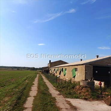 dom na sprzedaż 2177m2 dom Zakrzewo