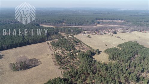 Działka 2133 m² przy lesie, dostęp do mediów, inwestycja działka Świętajno
