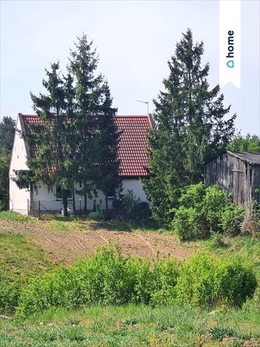 Urokliwy dom z dużą działką i potencjałem, 75 m2 dom Zielonczyn