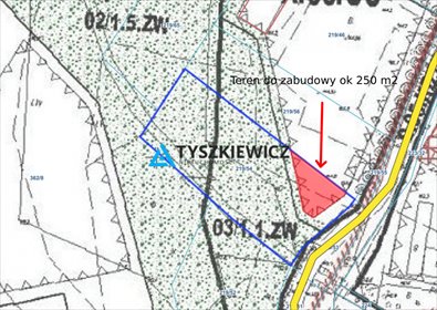 działka na sprzedaż 3925m2 działka Domachowo