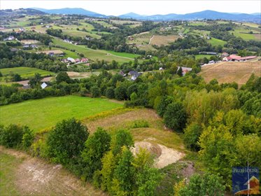 Na sprzedaż działka 8050 m² z lasem i możliwością budowy działka Szyk