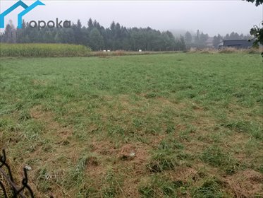 działka na sprzedaż 3121m2 działka Leszna Górna