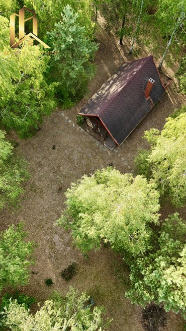 działka na sprzedaż 11000m2 działka Zadębie
