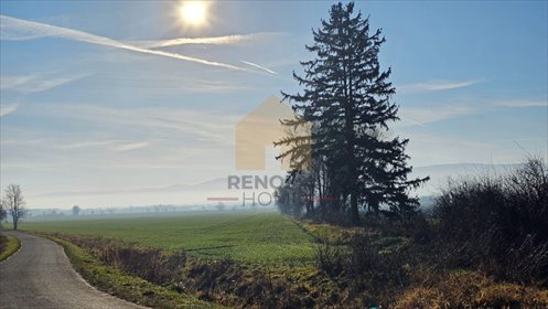 Zapraszam do zakupu działki 1200 m² w Książnicy działka Książnica