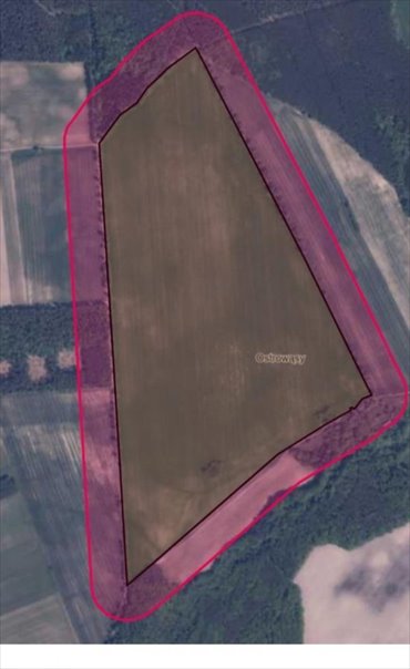 Działka pod farmę PV 60 MW z wodorem i turbinami wiatrowymi działka Ostrowąsy