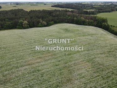 Działka inna na sprzedaż Nowy Dwór 3 000m2 Foto 4
