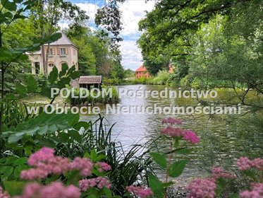 działka na sprzedaż 1687m2 działka Bagno