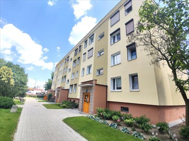 Przestronne 3 pokoje z loggią, pełne wyposażenia mieszkanie Oborniki