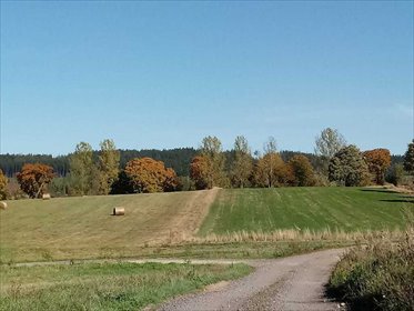 działka na sprzedaż 1107m2 działka Krzeszówek