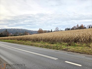 działka na sprzedaż 15730m2 działka Januszowice