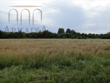 działka na sprzedaż 10450m2 działka Lublin, Krężnicka