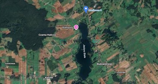 Działka 7 552 m² z warunkami zabudowy, cisza i natura działka Daniłowce